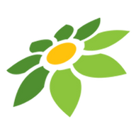 LINK STAR4D